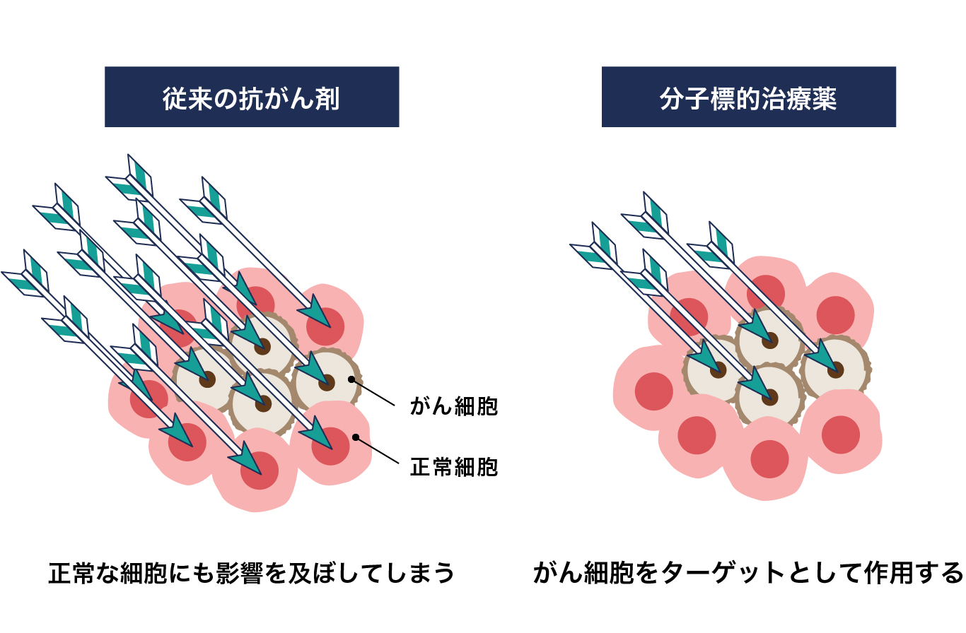 従来の抗がん剤と分子標的薬の違いについてのイメージ図